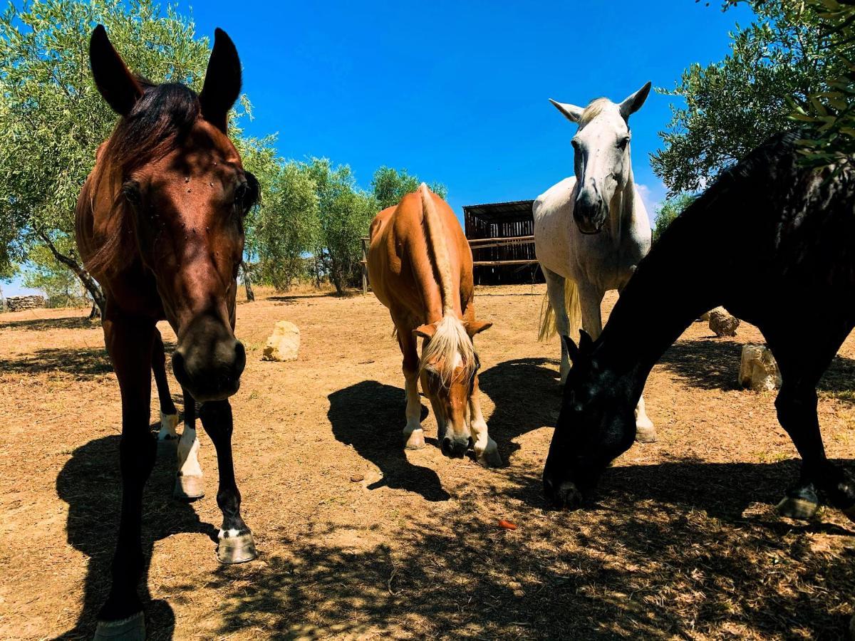 Relais Tenuta Gentili San Liberato Exteriér fotografie