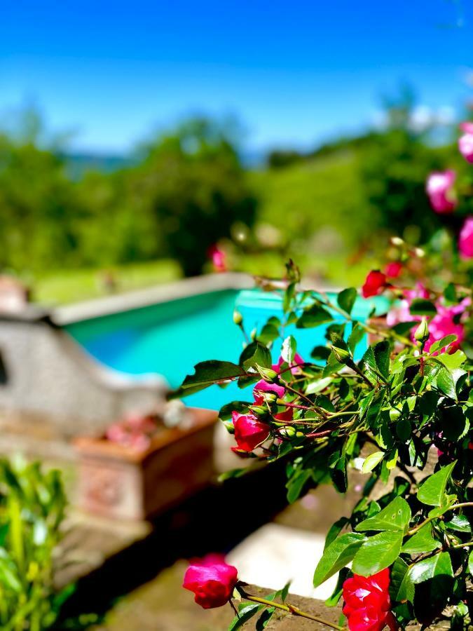 Relais Tenuta Gentili San Liberato Exteriér fotografie